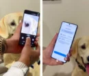 سامسونگ قابلیت Pet Care را معرفی کرد؛ تشخیص بیماری حیوان خانگی با یک عکس