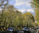 نمایی از خیابان ولیعصر در دهه ۴۰ + عکس