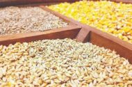 واردات 23 میلیون تن کالای اساسی در سال/پیامد خرید نهاده دامی از آمریکا
