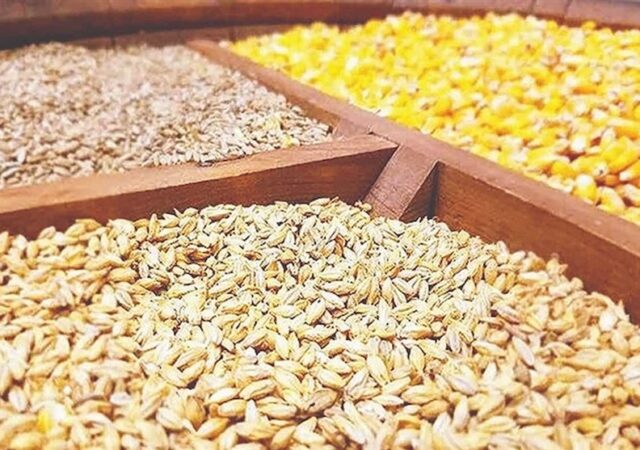 واردات 23 میلیون تن کالای اساسی در سال/پیامد خرید نهاده دامی از آمریکا