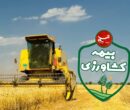 پرداخت 6.5 همت خسارت بیمه‌ای به کشاورزان