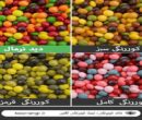 چرا بسیاری از افراد تا بزرگسالی نمی‌دانند کوررنگ هستند؟
