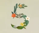 آنتروپیک از Claude Sonnet 5 رونمایی کرد؛ مدلی قدرتمند برای هدایت ایجنت‌ها