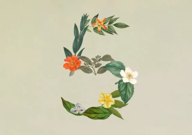 آنتروپیک از Claude Sonnet 5 رونمایی کرد؛ مدلی قدرتمند برای هدایت ایجنت‌ها