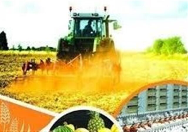 اجرای الگوی کشت بدون اصلاح حکمرانی آب و بازار ممکن نیست