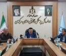 علیزاده: بیش از ۱۴ هزار پرونده معاینات در پزشکی قانونی مرکزی ثبت شد