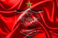 مهدی تیکدری پرسپولیسی شد