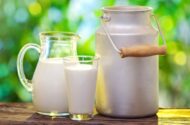 ناگفته‌هایی از ماندگاری شیرهای پاکتی؛ هشدار متخصص تغذیه