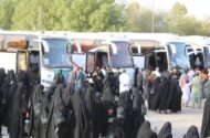 آغاز خدمت‌رسانی رایگان اتوبوسرانی برای بازگشت زائران اربعین