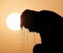 تلفات بیسابقه گرما در آلمان تلفات بیسابقه گرما در آلمان