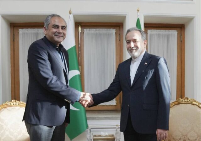 دیدار وزیر کشور پاکستان با وزیر امور خارجه