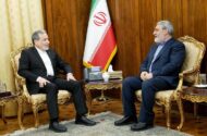 رحمانی فضلی با عراقچی دیدار کرد