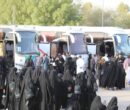پیش‌فروش ظرفیت بیش از ۲۰۰۰ دستگاه اتوبوس برای بازگشت زائران از مشهد