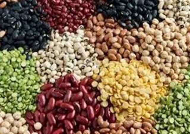 113درصد اختلاف قیمت لوبیا در بازار با وجود تخصیص ارز مبادله‌ای