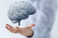 استراحتی که وقت تلف کردن نیست / مغز در سکوت مشغول تقویت حافظه است