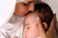 تحلیل فقهی بر معیار چند مادری در فرض رحم جایگزین