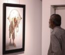 نمایشگاه «نقاش سرزمین زخمی» افتتاح شد؛ راز ماندگاری آثار نقاش فلسطینی