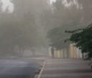 هشدار نسبت به وزش باد خیلی شدید در تهران| کاهش دما تا ۴ درجه