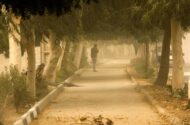 وزش باد همراه با خیزش خاک در تهران