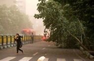 کاهش دما در برخی مناطق؛ احتمال سرمازدگی محصولات در مناطق سردسیر