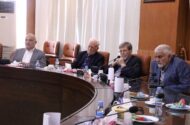 مرندی: سلامت عمومی تنها به «درمان» محدود نمی‌شود